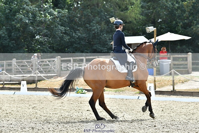 260802A-153428-07500 - Intermediate Bronze