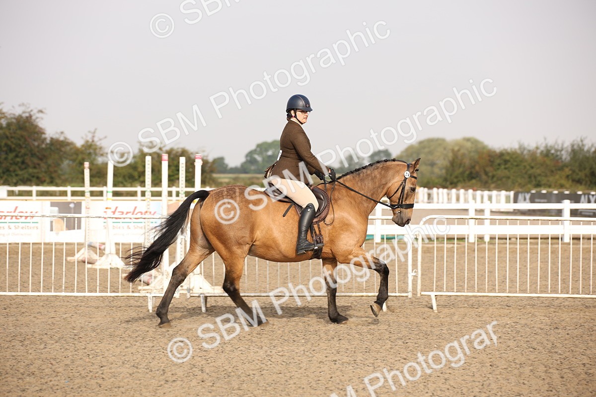 SBM_10250 - Class 402 Riding Club Horse