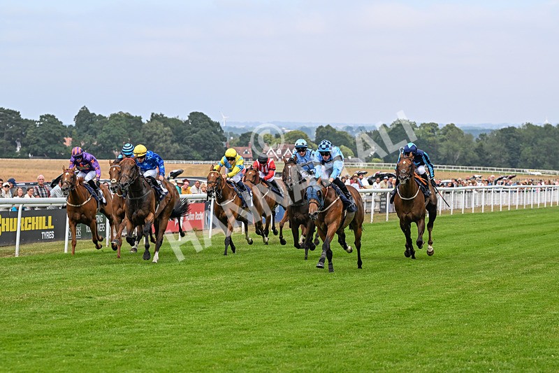 140726-Race 5-Crafty Spirit-1564 - Race 5 16.23pm Connexin Gigabit Gallop Handicap