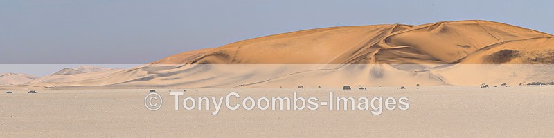 Namib Panorama - The Namib Desert