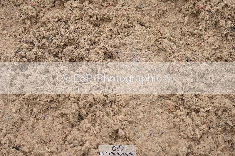 230916A-101920-03769 - Cls 14 Snr Foxhunter