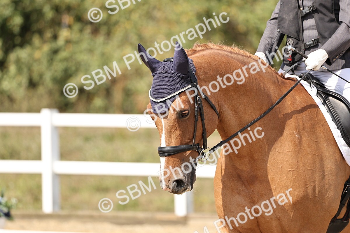 SBM_014659 - Class 5 - Elementary 4