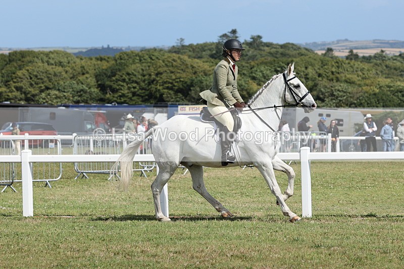 JPP_2280 - Class 19: Working Hunter 60cm