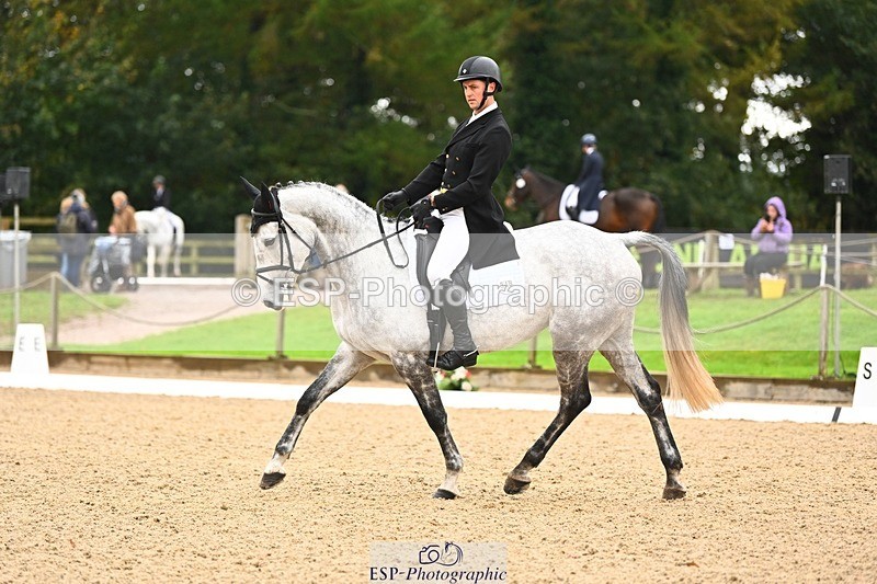 231021-122405-15130 - 348-KILMINGTON.FOLLY-Gubby.Leech-DR