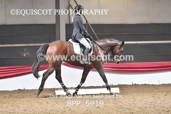 BPP_5919 - 35 Lewis Mclean