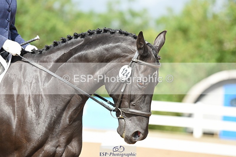 230912A-123012-00832 - Cls 8 Elementary 59