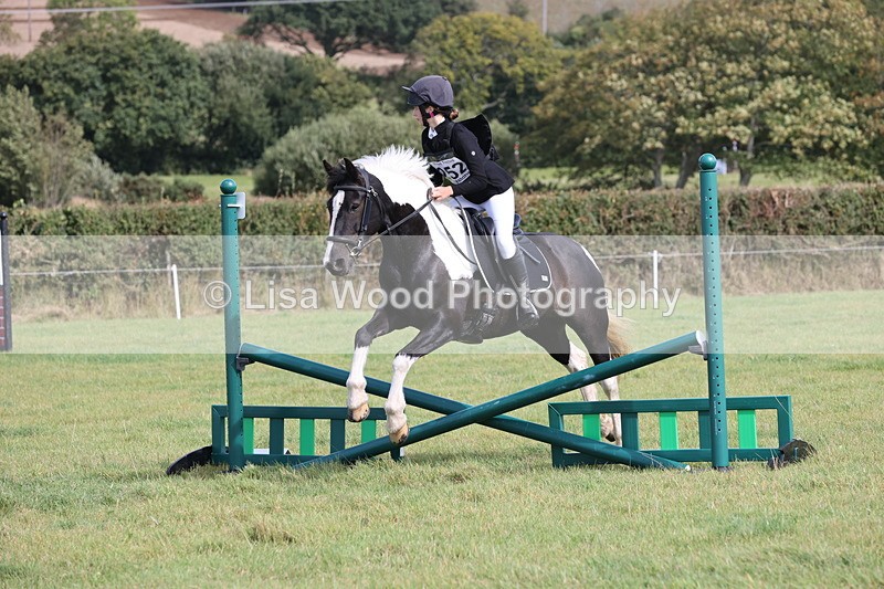 JPP_8616 - Class 2: Trekenning: 80cm Showjumping
