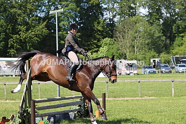 IMG_4475 - Working Hunter