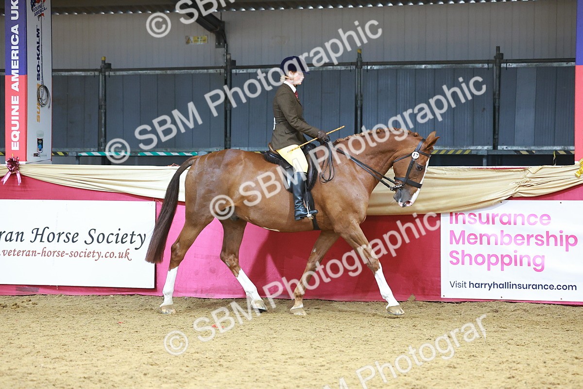 SBM_12421 - Class 103 - HOYS Veteran Qualifier - Ridden Pre Vet