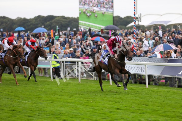 210824-Race 5-Extensio-7406 - Race 5 4.10pm Sky Bet Stayers Handicap