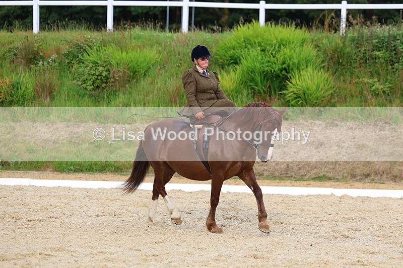 3E7A2052 - Class 3: Prelim 2 2024 Section A