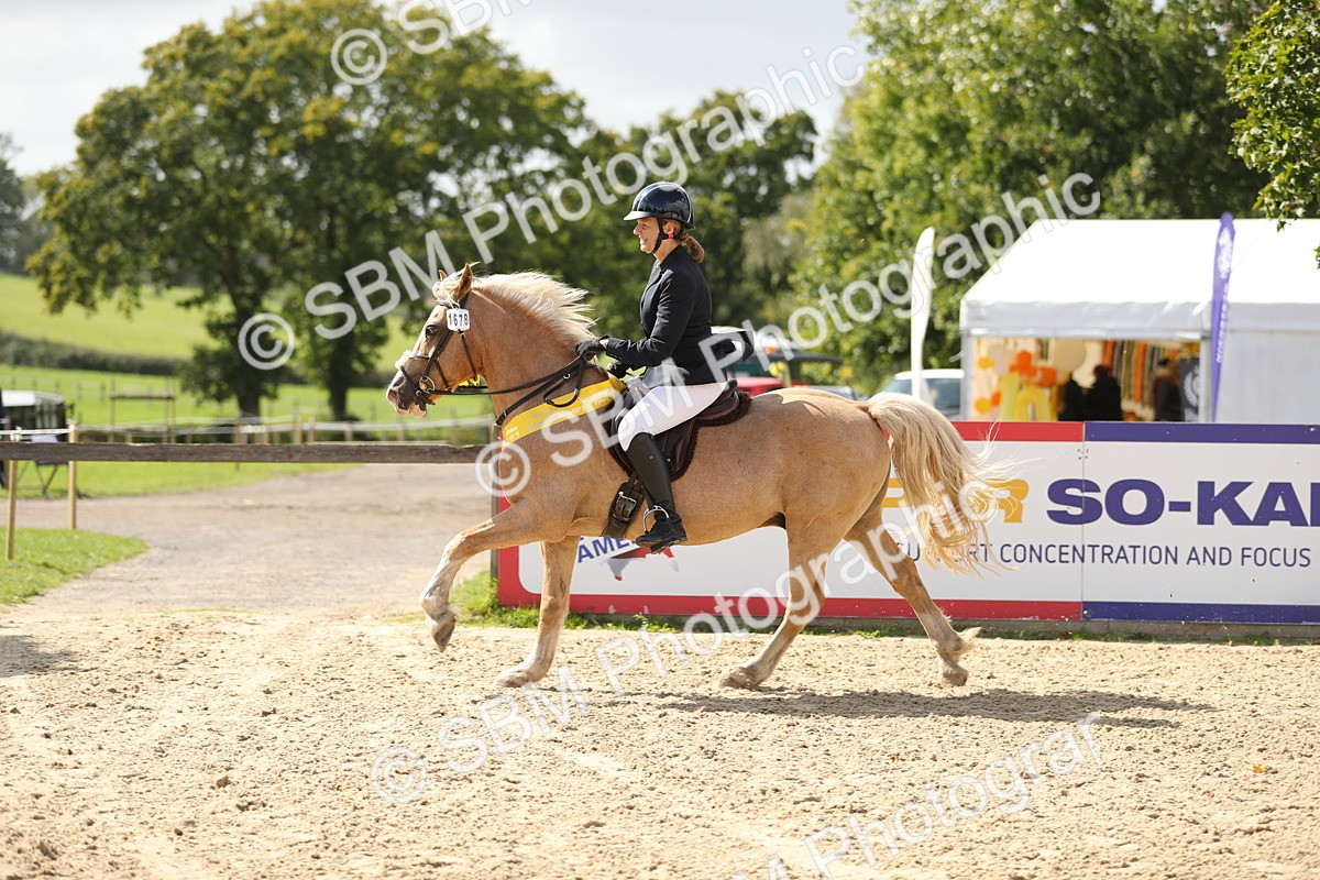 SBM_05842 - J35 - Veteran Rider 60cm