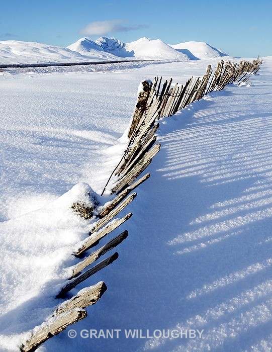 An Tealloch - Vertical Images