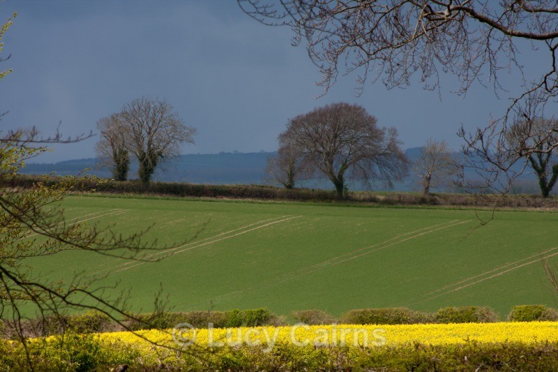  - Dorset - Photography Workshop