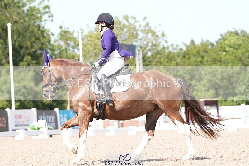 250817-140547-10571 - 182-Natalie.RosewarnePenpont.Fancy.That