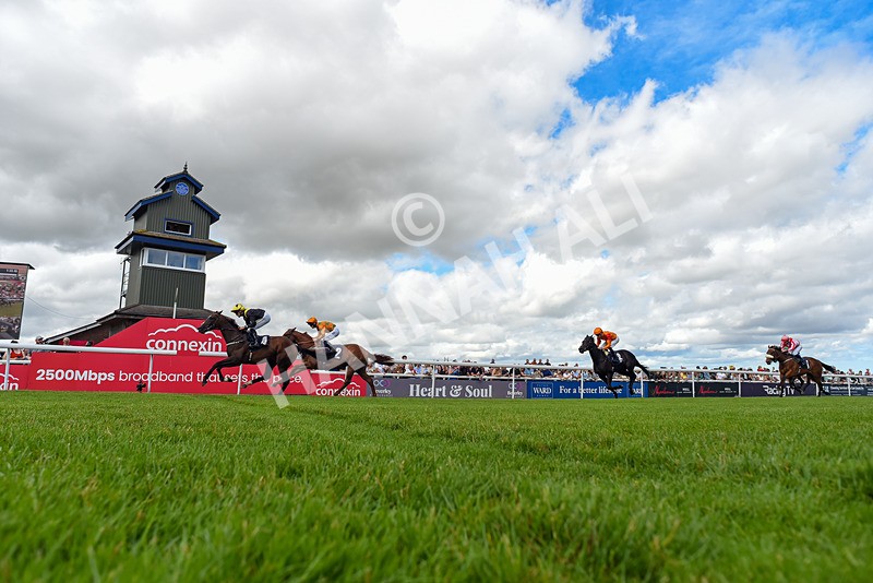 040726-Race 2-Rosberg-5791 - Race 2 14.52pm Matthew Ireland Memorial EBF Maiden Stakes