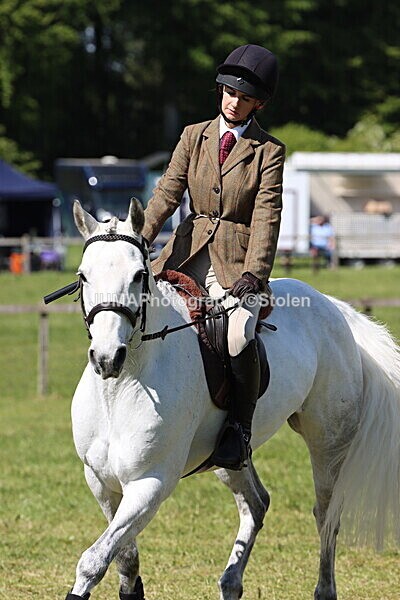 IMG_4678 - Working Hunter