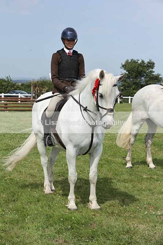 JPP_3957 - Class 23: Working Hunter 80cm