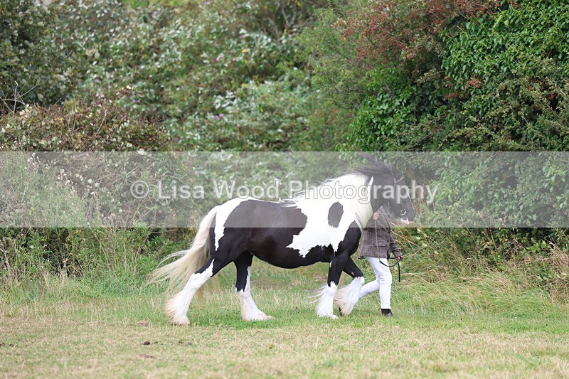 3E7A5326 - Class 19: Best Coloured in Hand