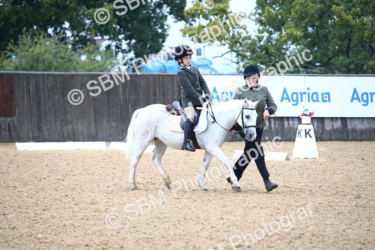 SBM_34616 - D26 - Starters Lead Rein