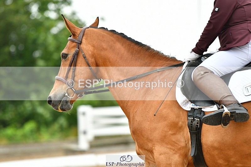 230708A-114618-02621 - Prelim 13