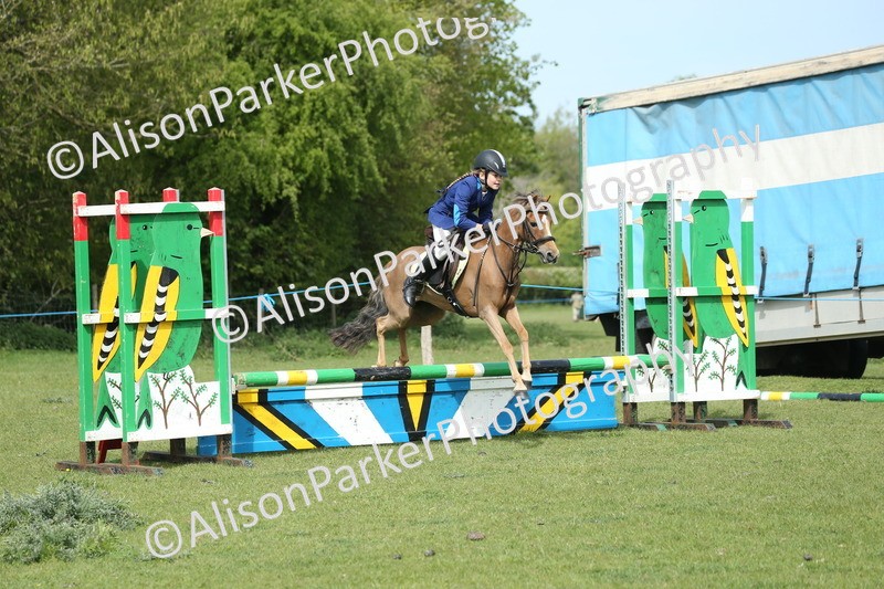 20260426-1574 - Class 14 - Novice 60cm