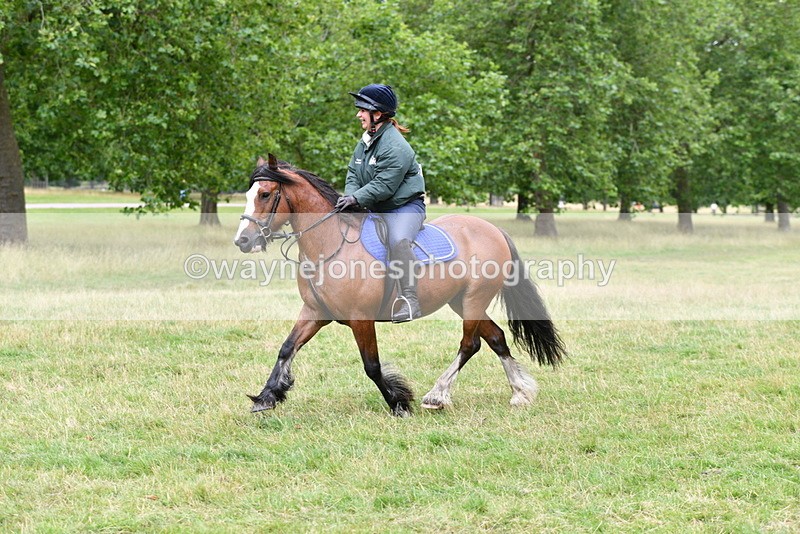 WJ5_3112 - Time at Jump 14:47 to 15:17