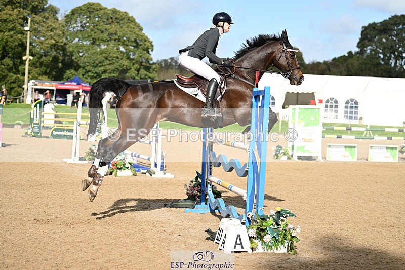 241025-120609-07431 - 202-Toots.Bartlett-C.WHY