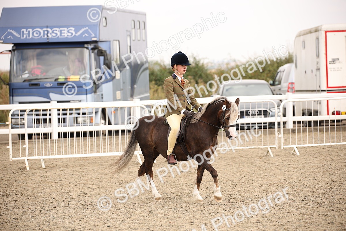 SBM_12585 - Class 405b - M&M Working Veteran 50cm 20+