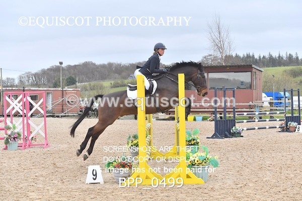 BPP_0499 - CLASS 3  Club/ Unaffiliated 90cms Open
