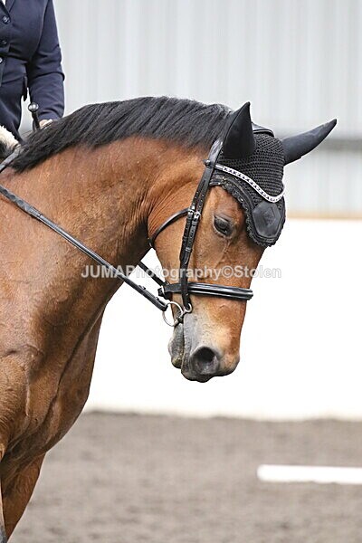 SIAL5251 - CAbin Dressage 5th july 2025