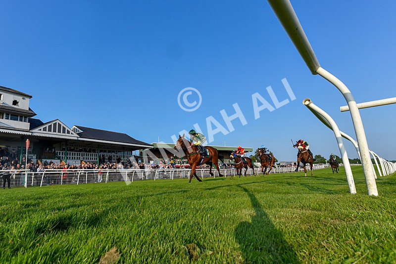 310524-Race 3-Lord Torranaga-7547 - Race 3