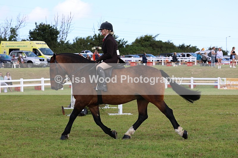 3E7A9879 - Class 5: Rising Star Lightweight/Heavyweight Cobs