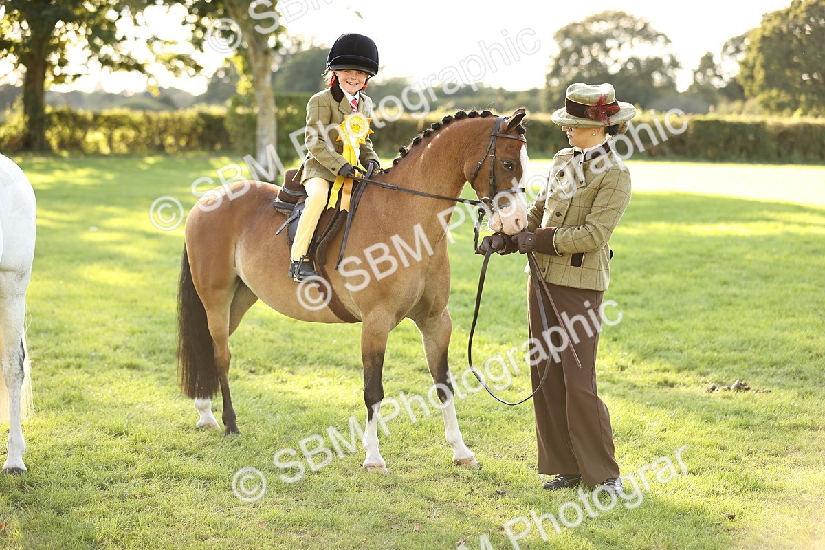 SBM_29495 - S7 - Novice & Newcomers Ridden Pony