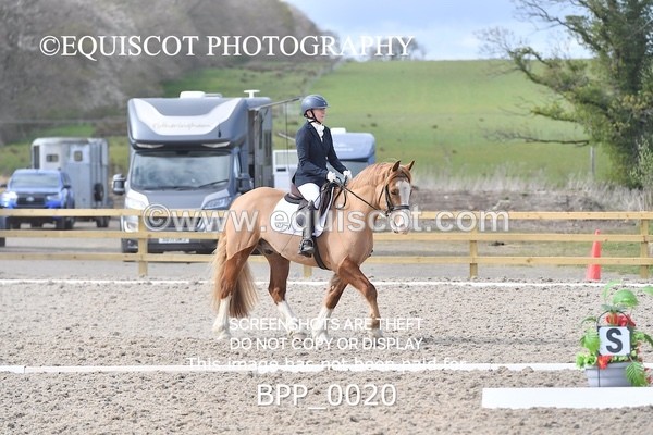 BPP_0020 - MY QUEST NOVICE 2