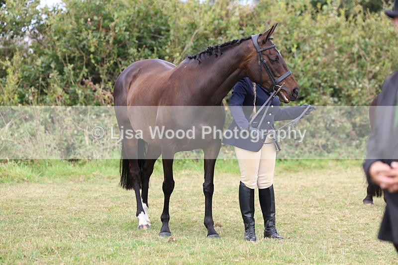 3E7A4875 - Class 16: Best Grass Kept