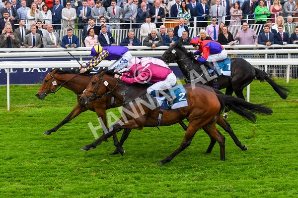 190523-Race 6-Eligible-0841 - Race 6 4.45pm Yorkshire Equine Practice Handicap