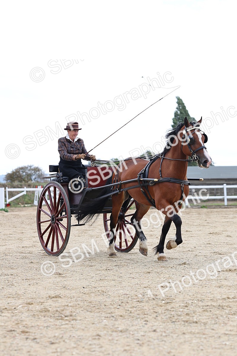 SBM_000756 - Class 6 - Exercise Vehicle 13.2 and over