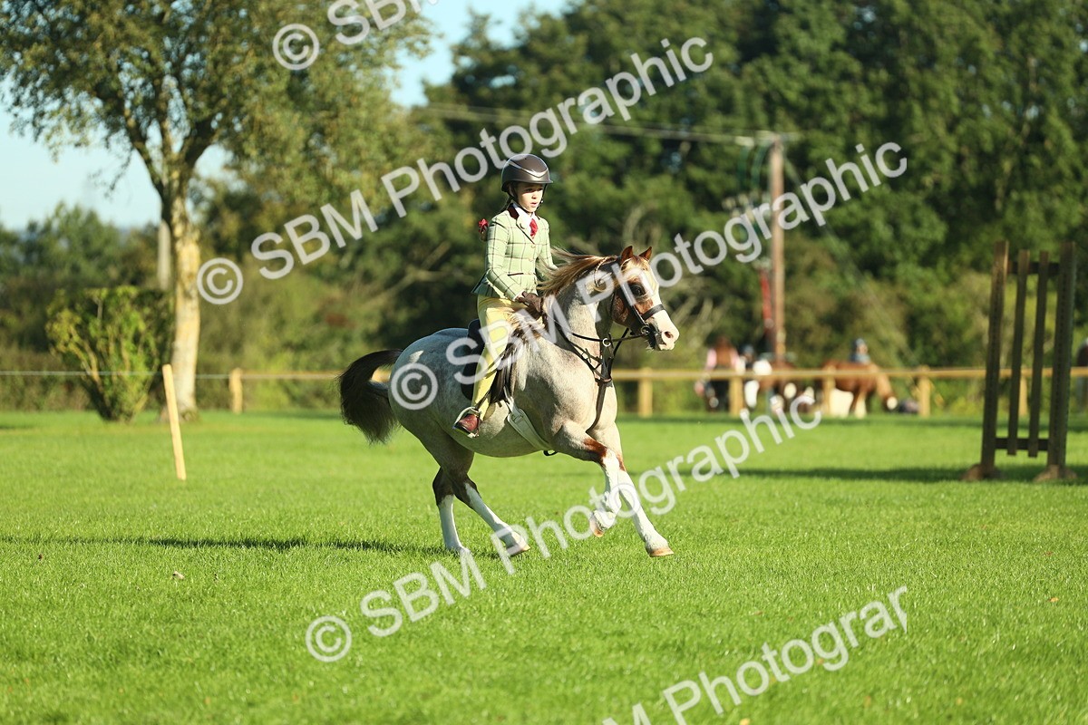 SBM_36350 - S29 - Novice & Newcomers Working Hunter Pony