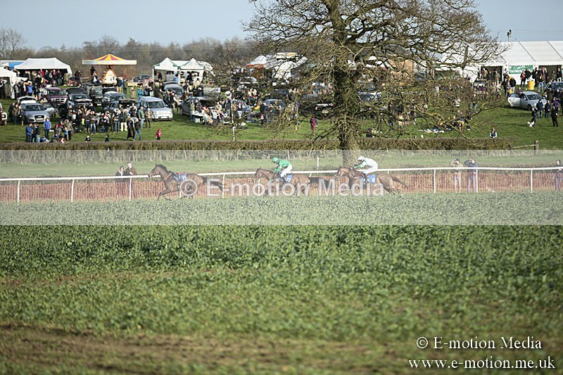 PtP 230319 497 - VWH Hunt Siddington Point-to-Point Racing 23/03/19