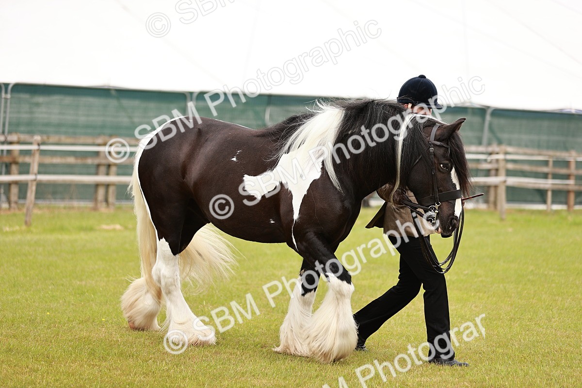 SBM_04624 - Class 5-8 - BSPA In hand