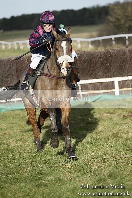 PtP 070118 -272 - Larkhill Racing Club Point to Point Larkhill 07/01/2018