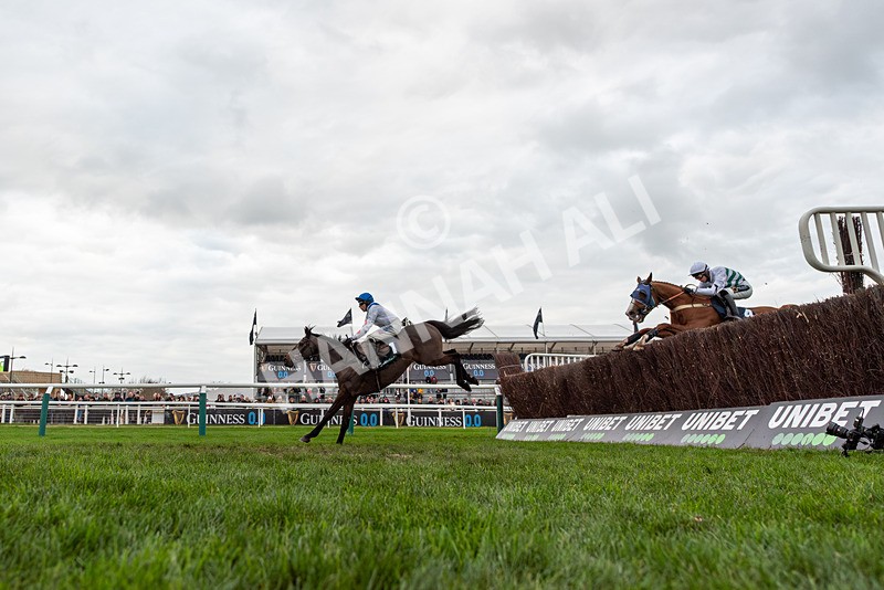 161125-Race 4-Protektorat-3032 - Race 4