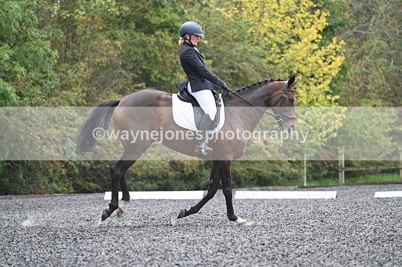 WJ7_3905 - Time 11:04 to 11:38