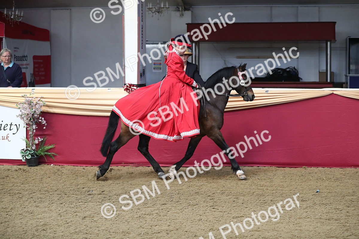 SBM_11239 - Class 104 Ridden Costume - Astride Junior