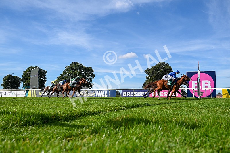 160924-Race 4-Watching Stars-5153 - Race 4