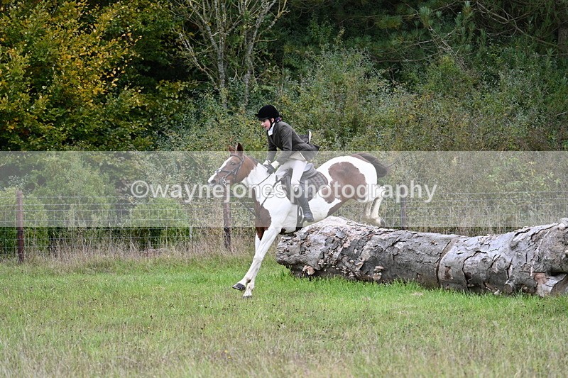 WJ7_3719 - Camera 1 Line 1