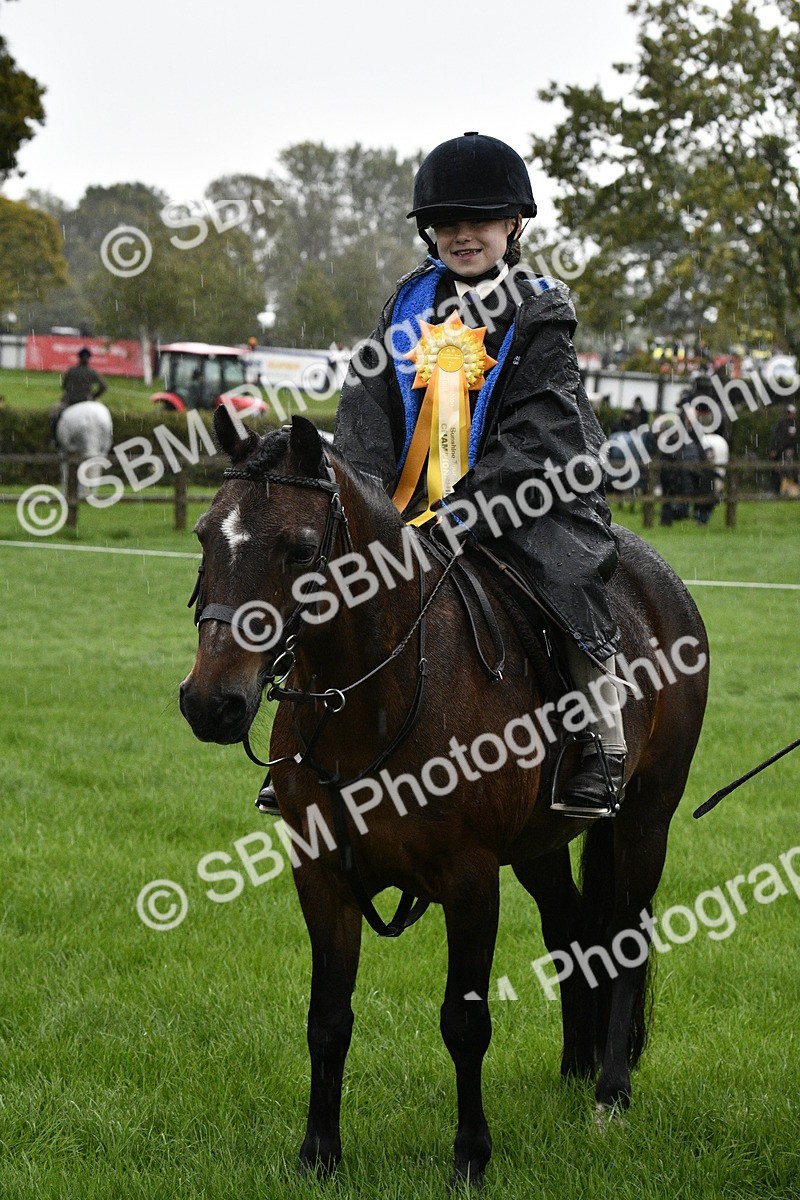 SBM_35590 - S30 - Nursery Stakes Working Hunter Pony