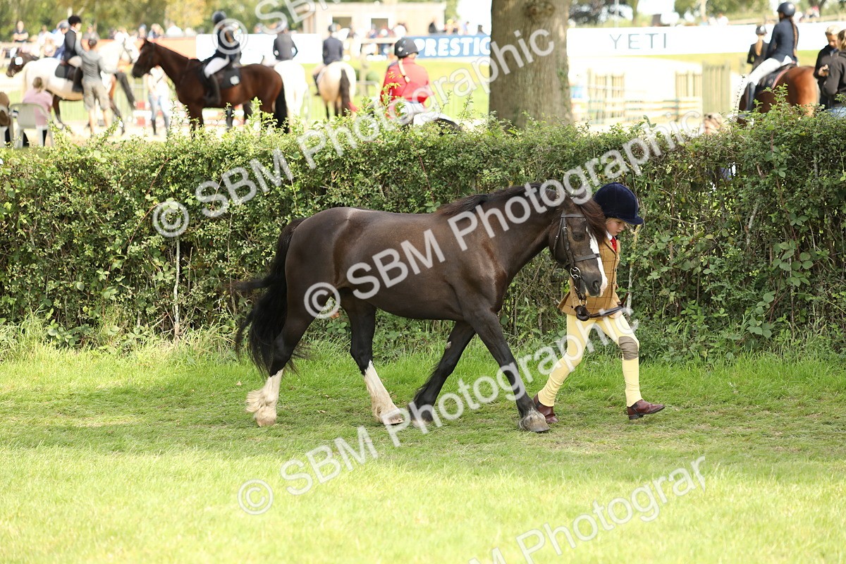 SBM_67741 - S39 - Junior Handler 8  Years & Under
