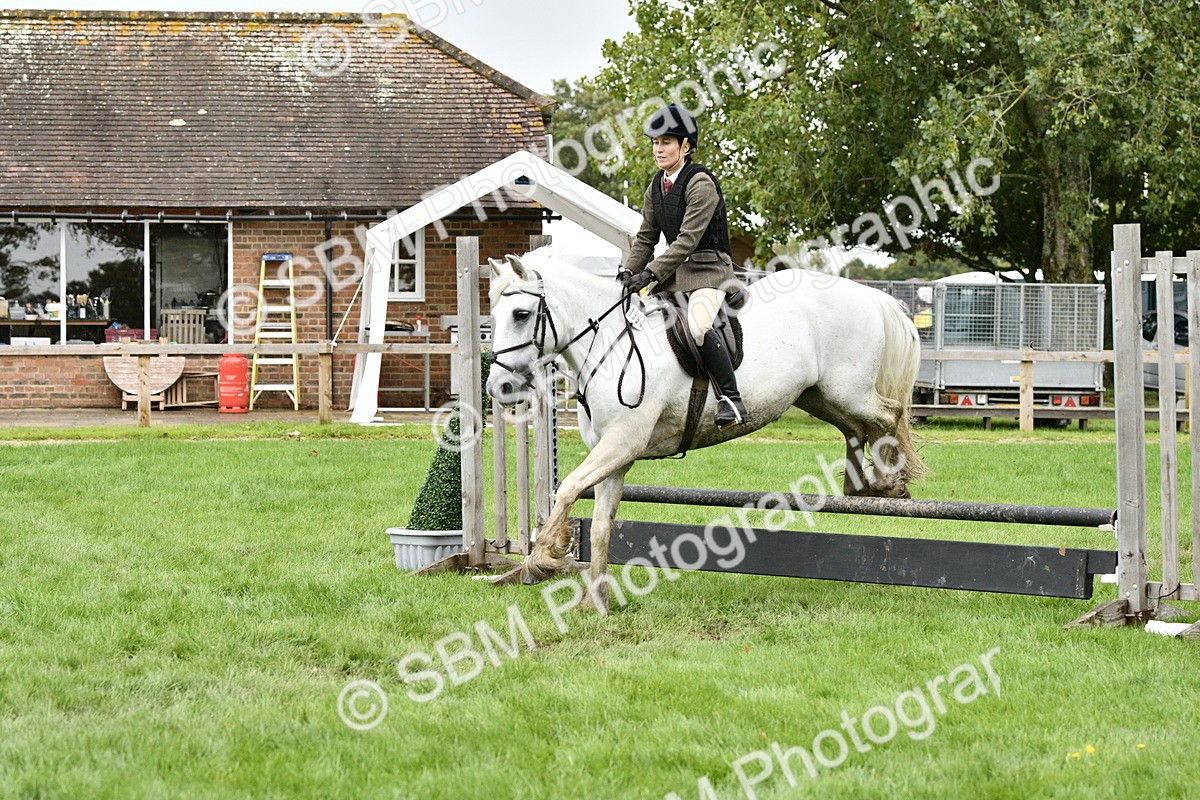 SBM_42270 - S32 - Mountain & Moorland Working Hunter Pony